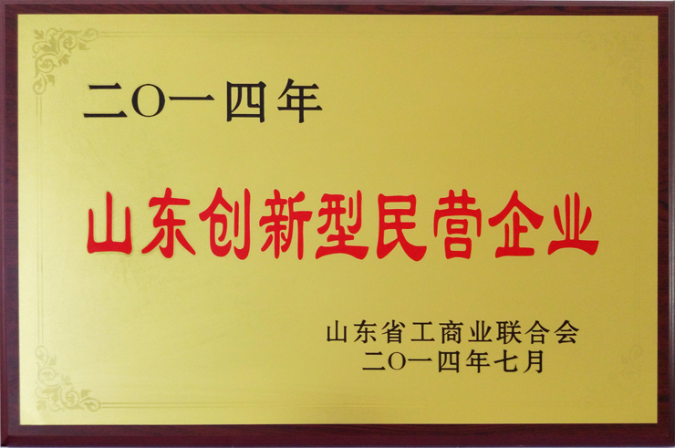 山东工商业联合会颁发：山东创新型民营企业